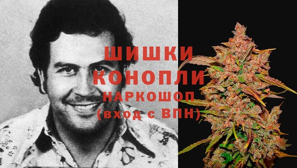 спайс Алзамай
